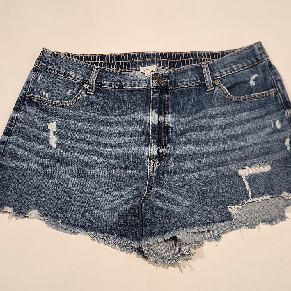 Aerie Distressed Denim Shorts XL